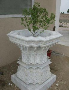 Tulsi POT