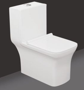 Dl 101 Dax Ceramic One Piece Closet