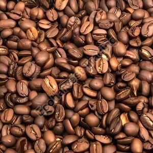 AA Arabica Washed Plantation Coffee Beans