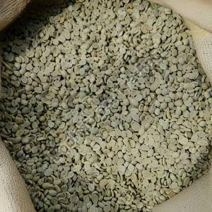 PB Arabica Washed Plantation Coffee Beans