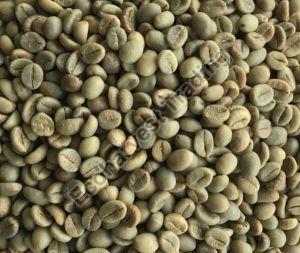 Robusta Cherry Aaa Unwashed Coffee Beans