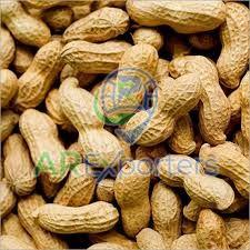 Whole Groundnut Kernels