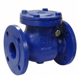 Cast Iron Check Valve