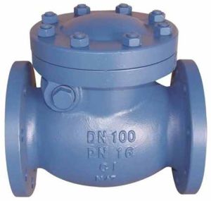 Cast Iron Check Valve