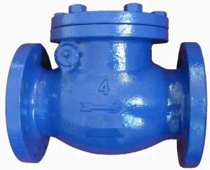 Cast Iron Check Valve