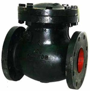 Cast Iron Non Return Valve