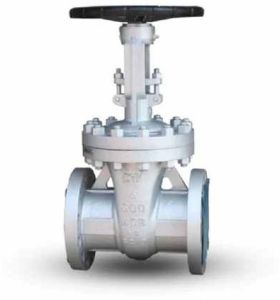 Cast Steel Gate Valve