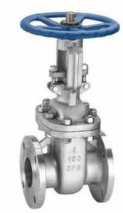 Stainless Steel Industrial Gate Valve
