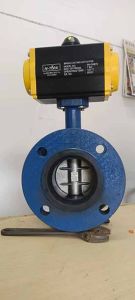 Wafer Type Double Flange Butterfly Valve