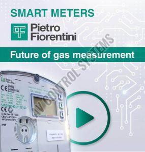 Pietro Fiorentini Gas Meter