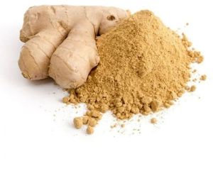 Dehydrated Ginger Powder