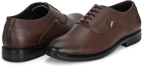 Mens Brown Derby Horsebit Lace-Up Shoes