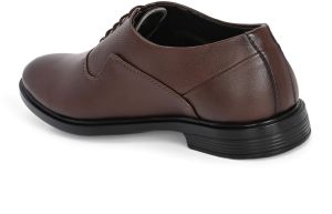 Mens Brown Derby Horsebit Lace-Up Shoes