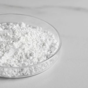 Sodium Benzoate Powder