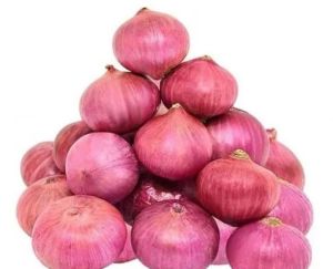Fresh Red Onion
