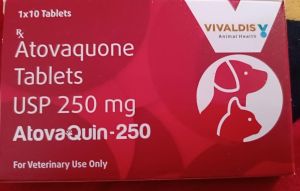 Atovaquin 250mg Tablets
