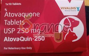 Atovaquin 250mg Tablets