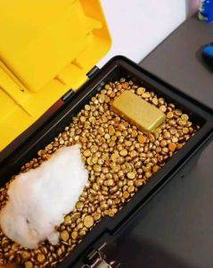 Au Gold Rough Uncut Diamonds