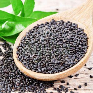 A Grade Black Basil Seeds