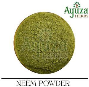 Neem Leaves Powder