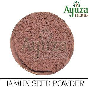Jamun Seeds Powder