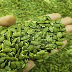 Natural Pumpkin Seeds