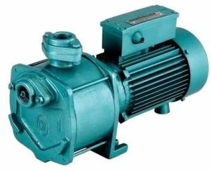 Domestic Water Pump