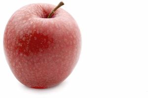 A Grade Fresh Apple