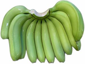 A Grade Fresh Green G9 Cavendish Banana