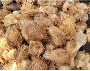 Solid A Grade Semi Husked Coconut