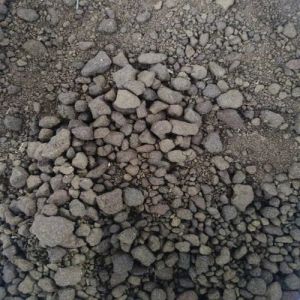 Mustard Doc Cattle Feed