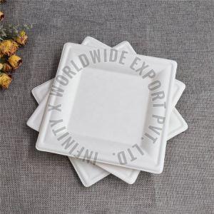 Square Sugarcane Bagasse Disposable Plate