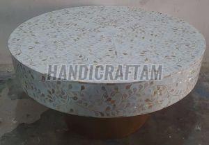 Camel Bone Inlay Coffee Table