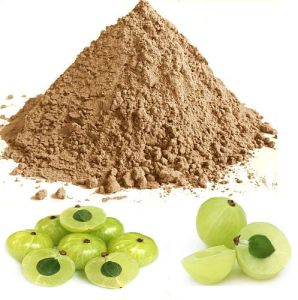 Dehydrated Amla Powder