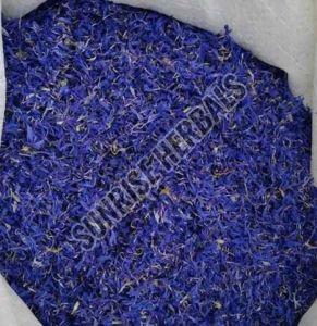 Dried Blue Cornflower Petal