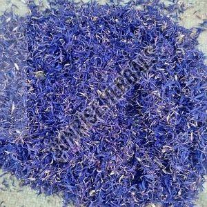 Dried Blue Cornflower Petal