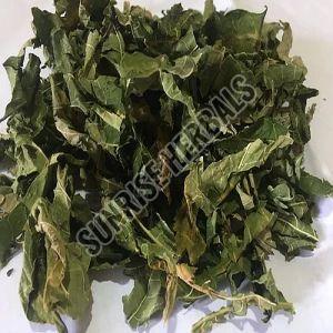 Dried Papaya Leaves