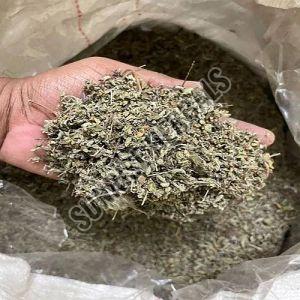 Dried Rama Tulsi Leaves