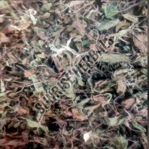 Dry Mentha Arvensis Leaves