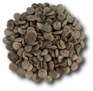 Dried Kuchla Seeds