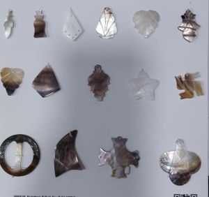 Mother OF Pearl Sea Shells