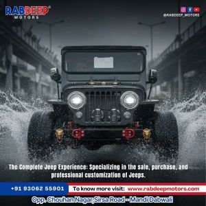 Custom-Built Modified Jeep