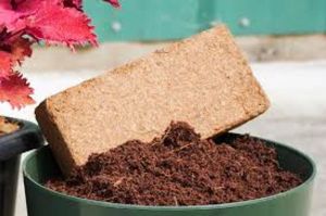 Low EC Coco Peat Block (5 Kgs)