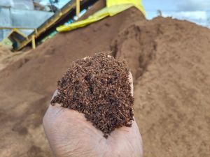 Export Grade High EC Coco Peat Powder
