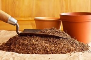 Low EC Coco Peat Powder