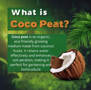Low EC Coco Peat Powder