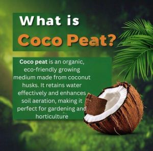 GK Organics Coco Peat Block (1 Kg)