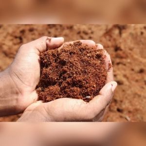 High EC Coco Peat Powder