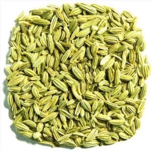 A Grade Fennel Seeds