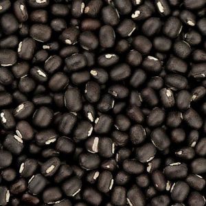 Whole Black Urad Dal